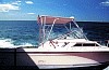 Wellcraft 1991 25'